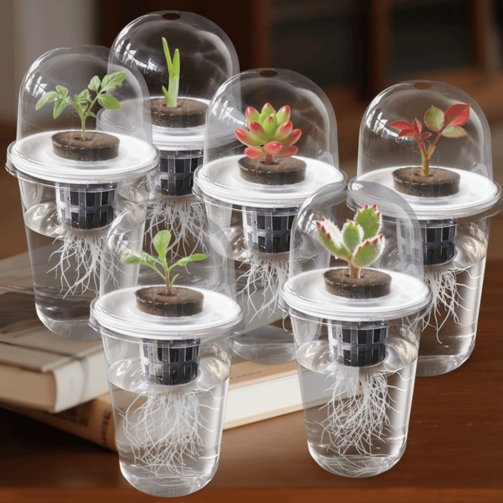 Hydroponic Grow Pod - 1-5 adet Görünür Şeffaf Bitki Çimlendirme