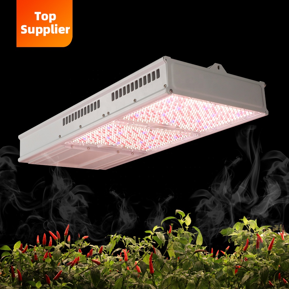 Uygun Maliyetli 600W 800W Topl - Grow Light Led incelemesi ve fiyatı