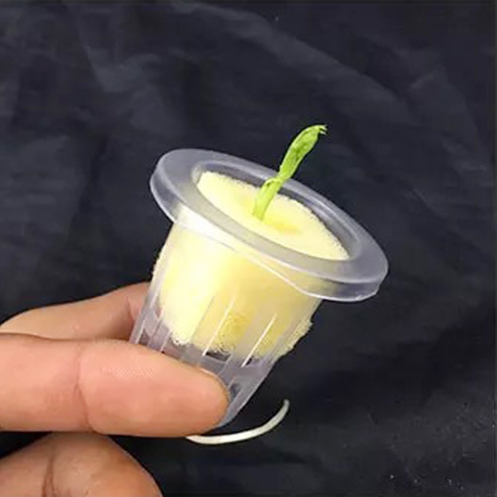 10 Adet Hidroponik File Saksıl - Hydroponic Grow Pod incelemesi ve fiyatı