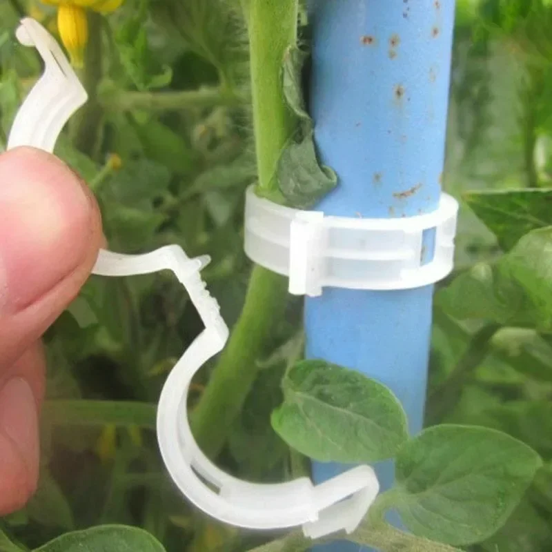 Bitki Destek Klipsleri Yeniden - Smart Garden Kit incelemesi ve fiyatı