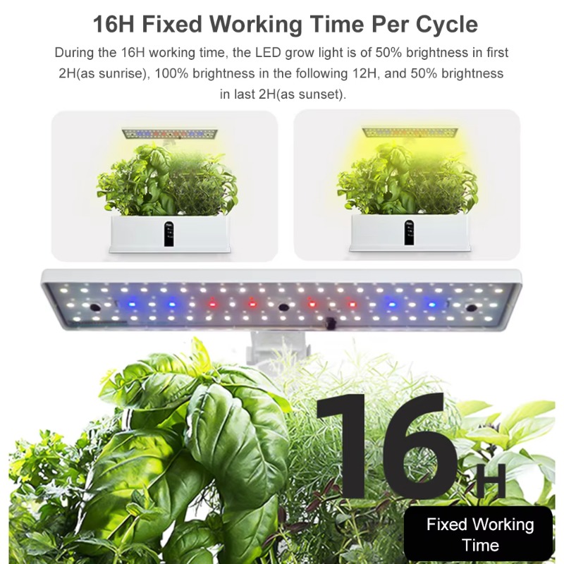 9 Bölmeli Akıllı Hidroponik Ye - Grow Light Led incelemesi ve fiyatı