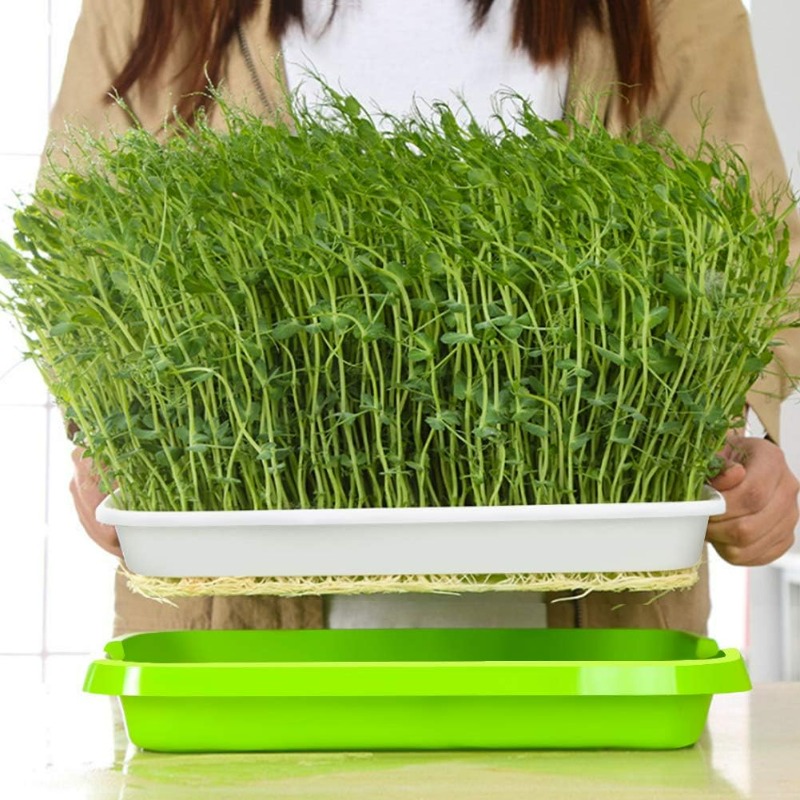 Mikro yeşillikler filizlendirm - Hydroponic Grow Pod incelemesi ve fiyatı