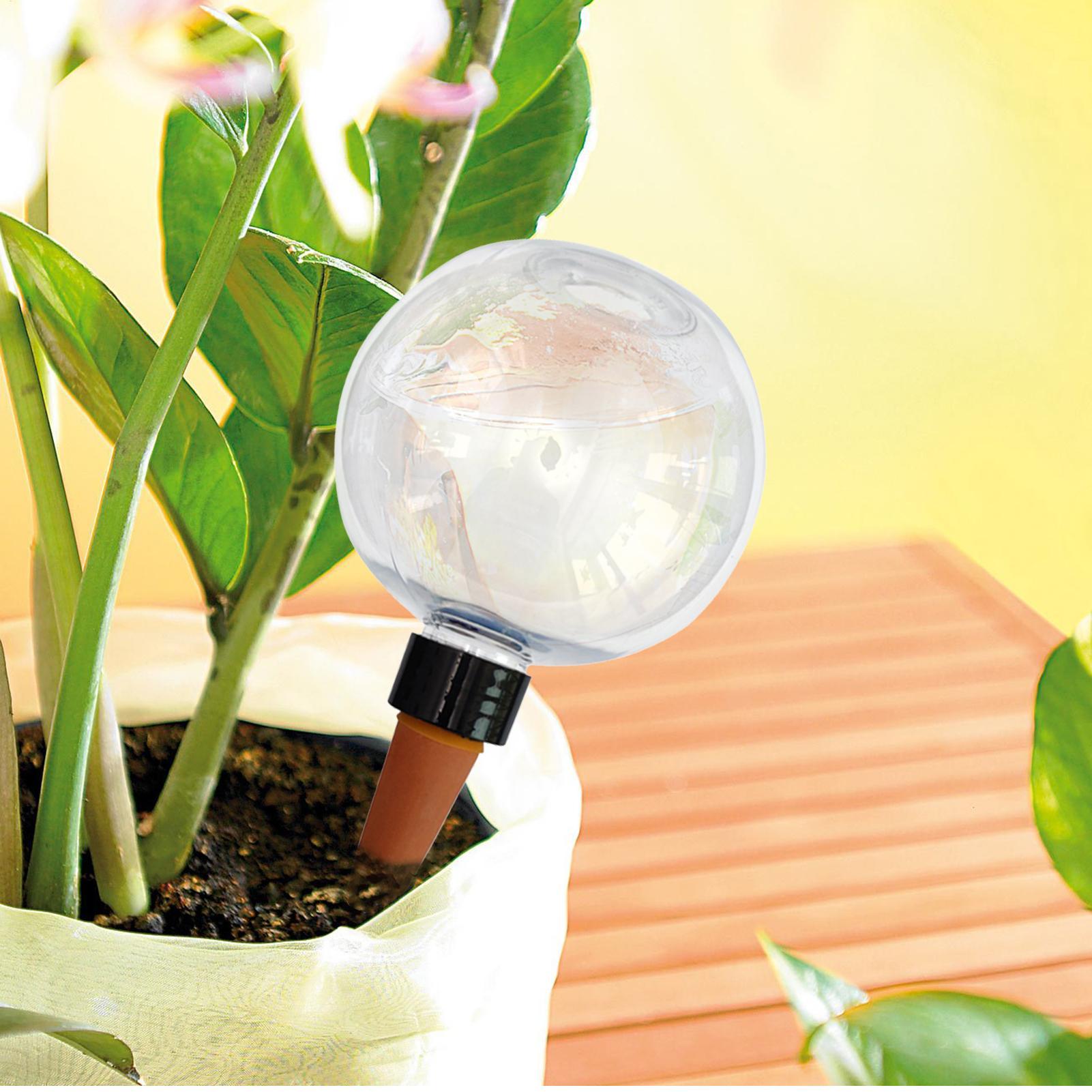 500ml Otomatik Bitki Sulama Am - Self Watering Planter incelemesi ve fiyatı